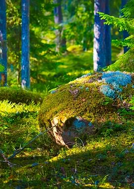 Stunning Backgrounds