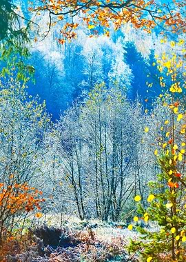 Landscape With The Frozen