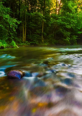 Beautiful Landscape With S