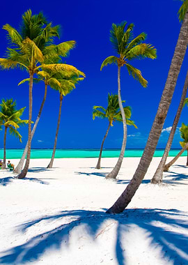 Stunning Backgrounds