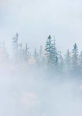 Stunning Backgrounds