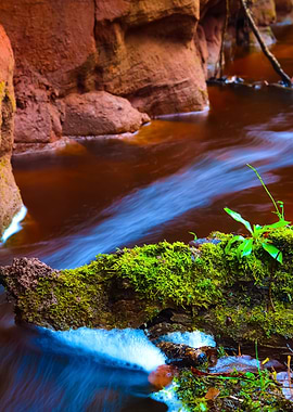 Small River Scene Among Ro