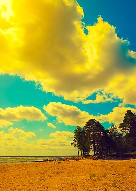 Wild Desert Beach With Pin