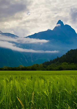 Stunning Backgrounds