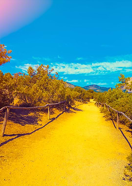 Dirt Road In The Park