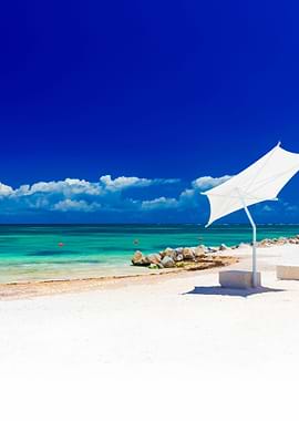 Stunning Backgrounds