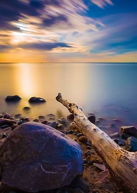 Rocky Sea Shore With Drift