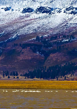 Stunning Backgrounds