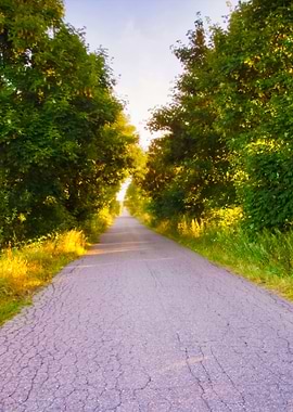 Asphalt Road In Landscape