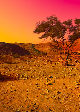 Sunrise Over Desert In Isr