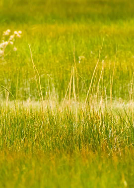 Stunning Backgrounds