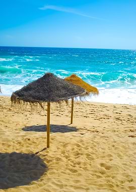 Beach Scene With Coconuts