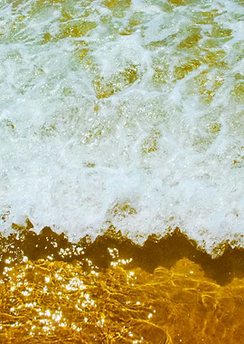 Sparkling Ocean Scene Back