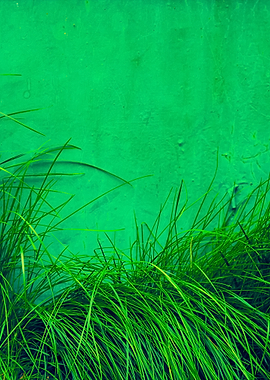 Grunge Green Background Fr