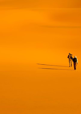 Stunning Backgrounds