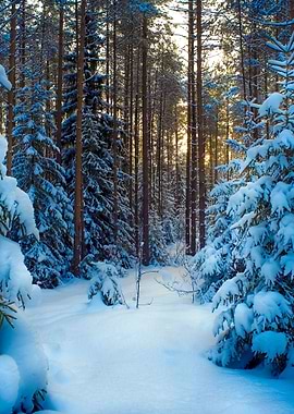 Stunning Backgrounds