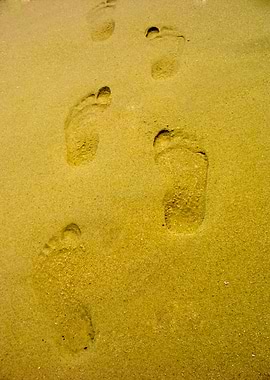Footprints In Sand