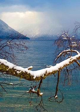 Stunning Backgrounds