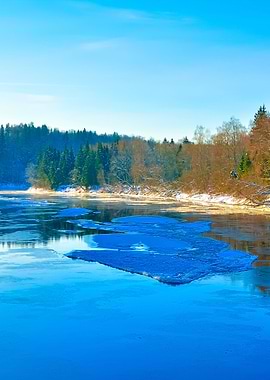 Gauja River Valley Winter