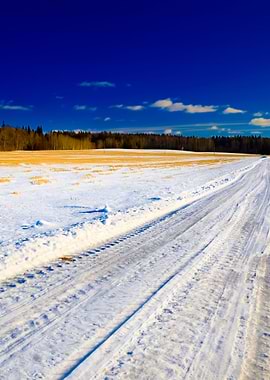 Classic Winter Scene Of A