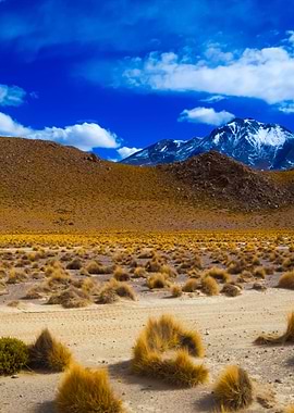 Stunning Backgrounds