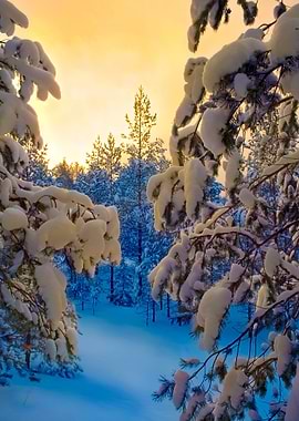 Stunning Backgrounds