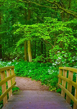 Walkway In Stochemhoeve Fo
