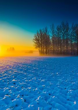 Beautiful Winter Field Lan