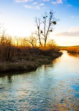 River Landscape