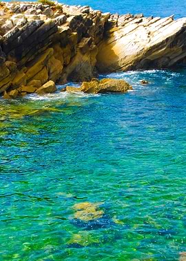 Beautiful Lagoon With Gree