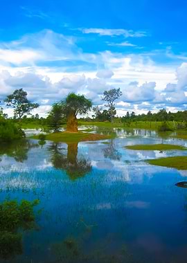 Views Of Nature In Cambodi