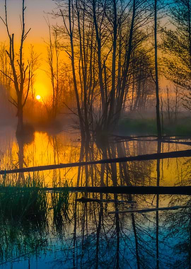 Beautiful Sunrise Over Fog