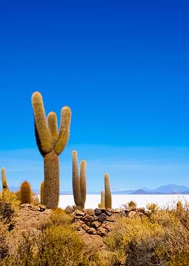 Stunning Backgrounds