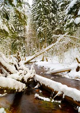 Winter River Valley Landsc
