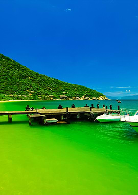 The Bridge To Sea With Spe