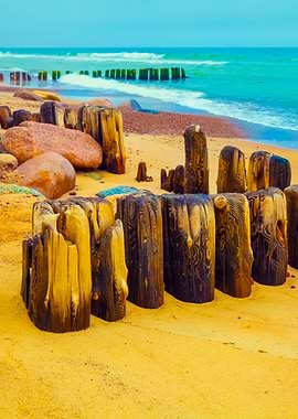 Desert Beach With Old Wood