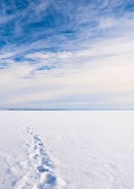 Ice Desert Winter Landscap