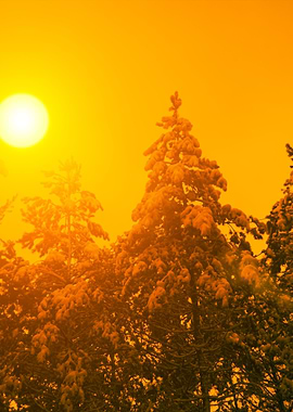 The Sun Over The Winter Pi