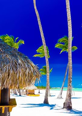 Stunning Backgrounds