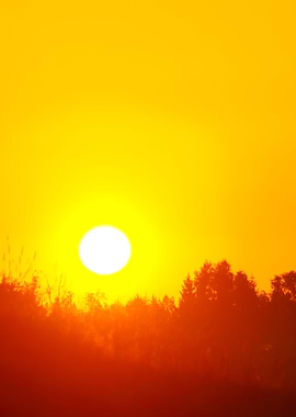 Early Orange Clear Sunrise