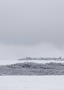 Stunning Backgrounds