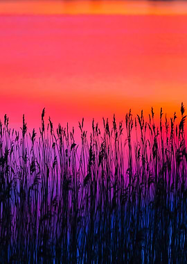 Beautiful Lake With Colorf