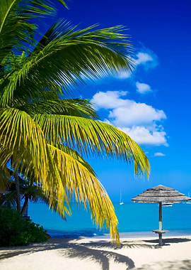 Stunning Backgrounds