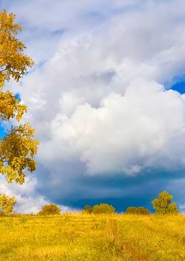 Stunning Backgrounds