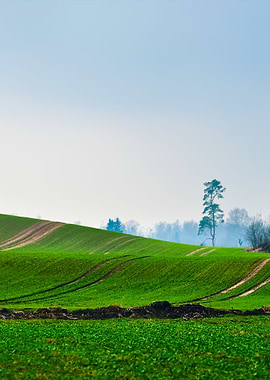Dark Dramatic Rain Clouds
