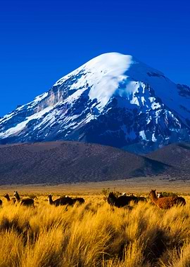 Stunning Backgrounds