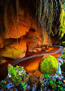 Small River Scene Among Ro