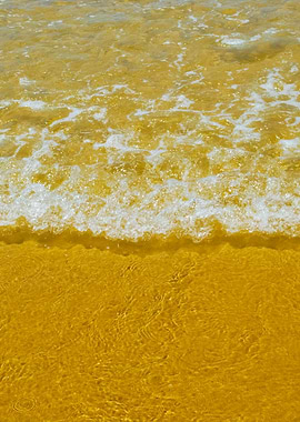 Ocean Scene Background