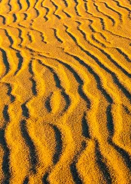Dunes At Sunrise Landscape
