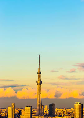 Tokyo Cityspace Sunset Vie